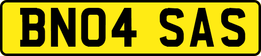 BN04SAS