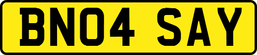 BN04SAY