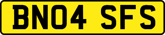 BN04SFS