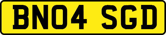 BN04SGD
