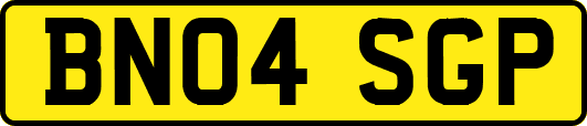 BN04SGP