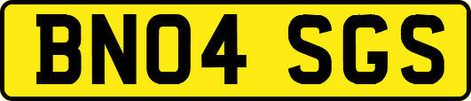 BN04SGS