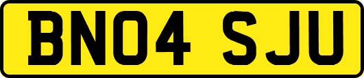 BN04SJU