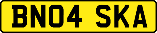 BN04SKA