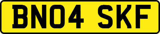 BN04SKF
