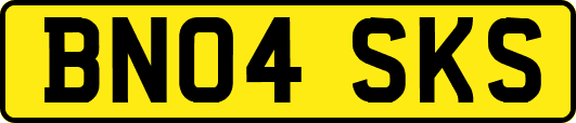 BN04SKS