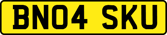 BN04SKU