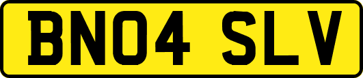 BN04SLV