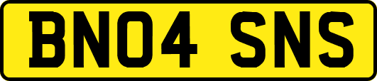 BN04SNS