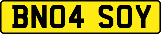 BN04SOY