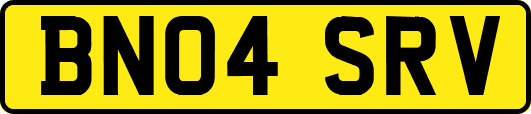 BN04SRV
