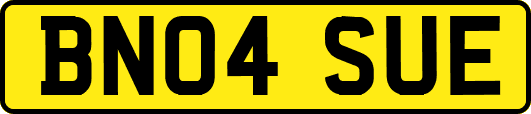 BN04SUE