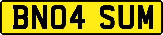 BN04SUM