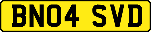 BN04SVD