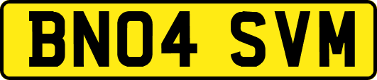 BN04SVM