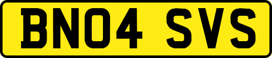 BN04SVS