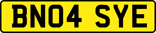 BN04SYE