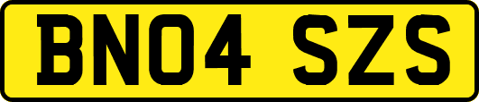 BN04SZS
