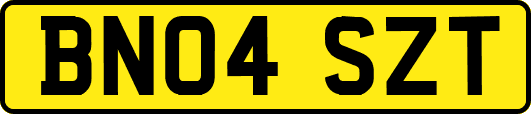 BN04SZT
