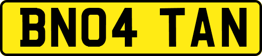 BN04TAN
