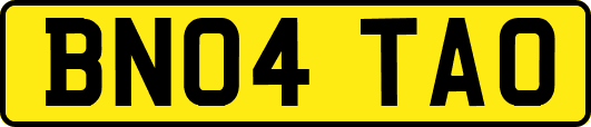 BN04TAO
