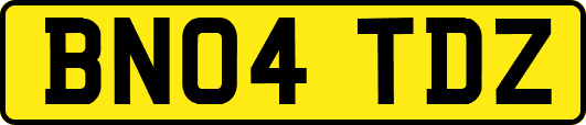 BN04TDZ