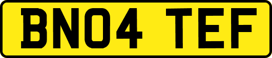BN04TEF