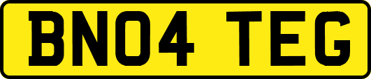BN04TEG