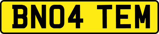 BN04TEM