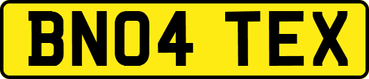 BN04TEX