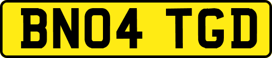 BN04TGD