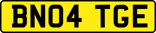 BN04TGE