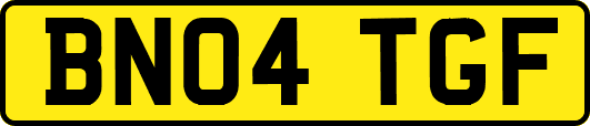 BN04TGF