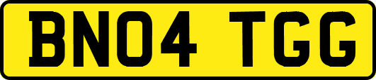 BN04TGG