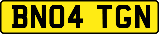 BN04TGN