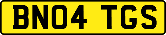 BN04TGS