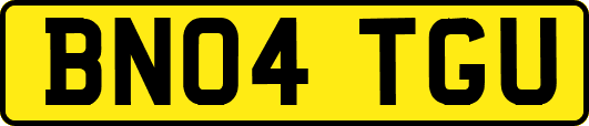 BN04TGU
