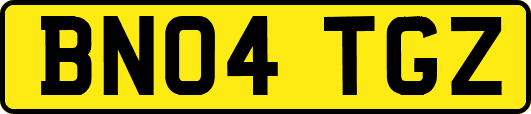 BN04TGZ