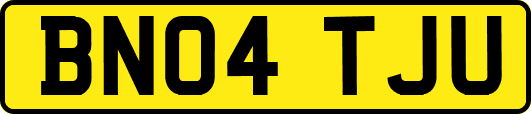 BN04TJU
