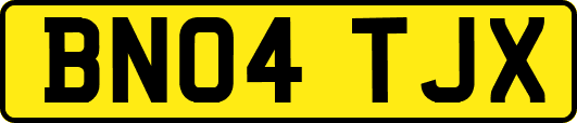 BN04TJX