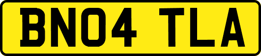 BN04TLA
