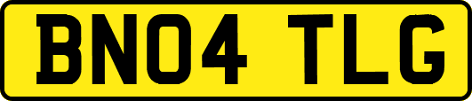 BN04TLG