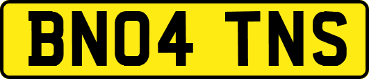 BN04TNS