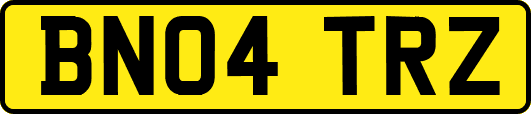 BN04TRZ