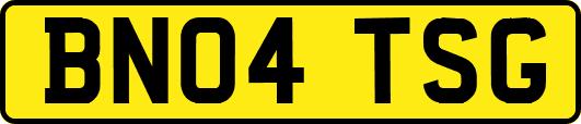 BN04TSG