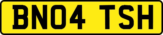 BN04TSH