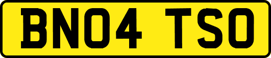 BN04TSO