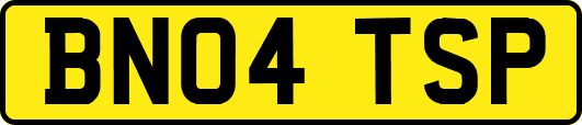 BN04TSP