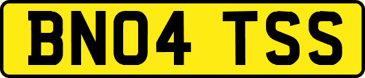 BN04TSS
