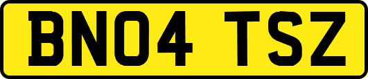 BN04TSZ
